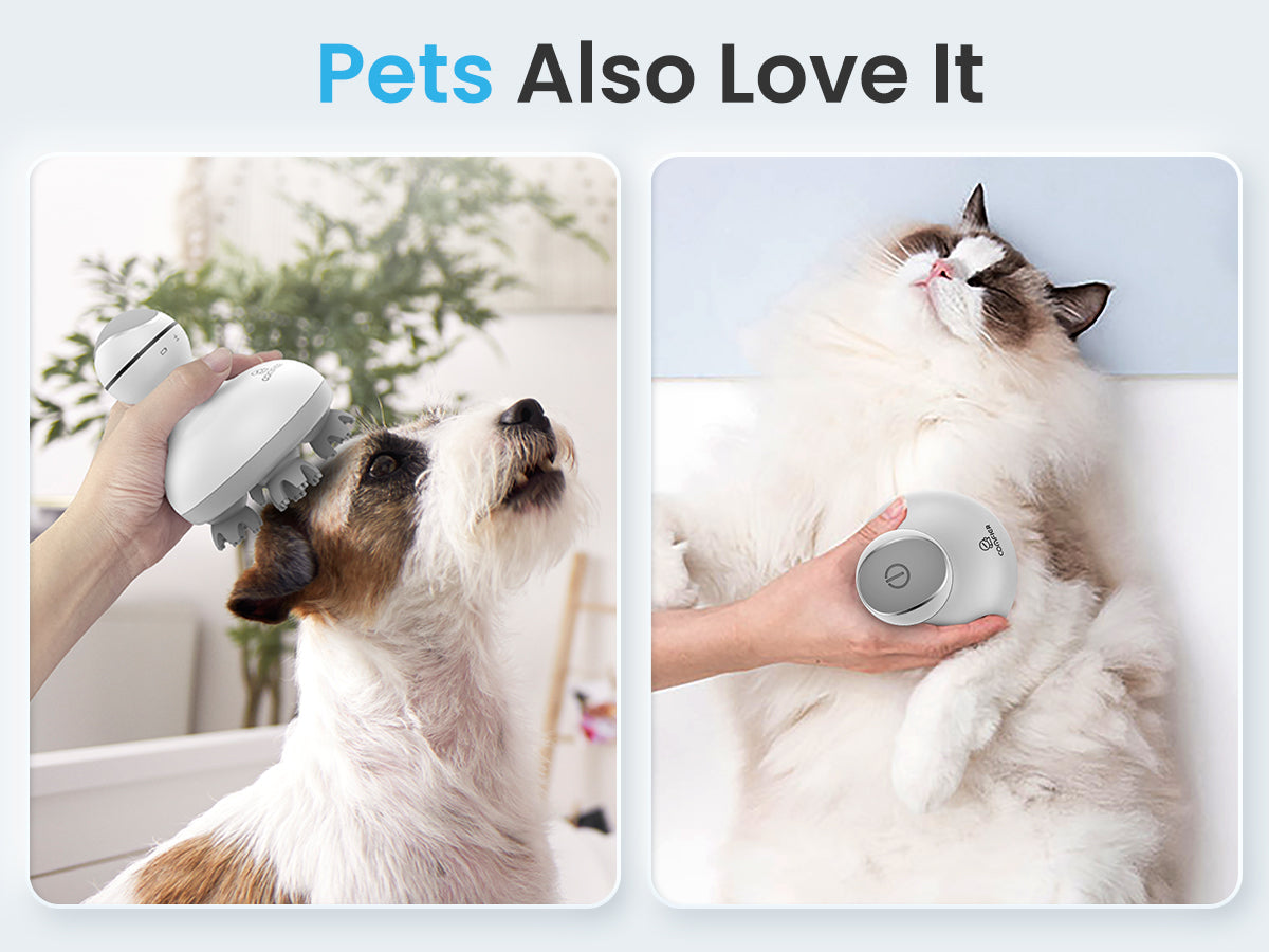 Can Head Massagers Be Used on Pets? A Look at the Benefits and Safety Considerations